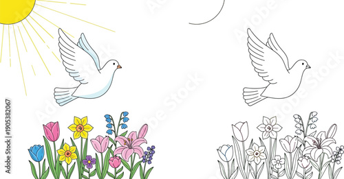 Vector illustration of white dove flying near sun and spring flowers with black and white coloring book page outline for kids education or religious peace symbol
