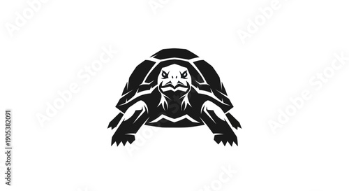 Fotografie Graphic illustration of a turtle