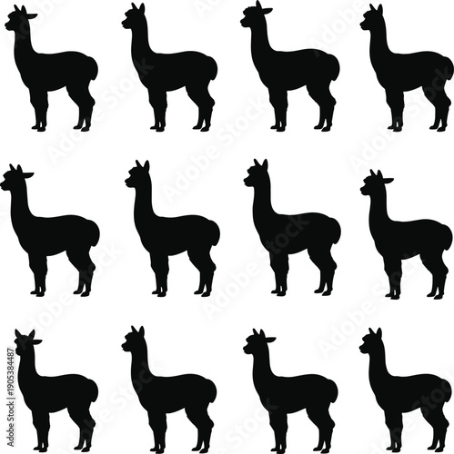Llama silhouette collection, alpaca farm animals standing poses set, cute wildlife livestock illustration, black flat vector illustration, isolated, design, icon