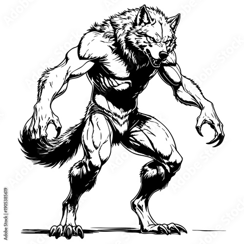 Werewolf Warrior Line Art Illustration