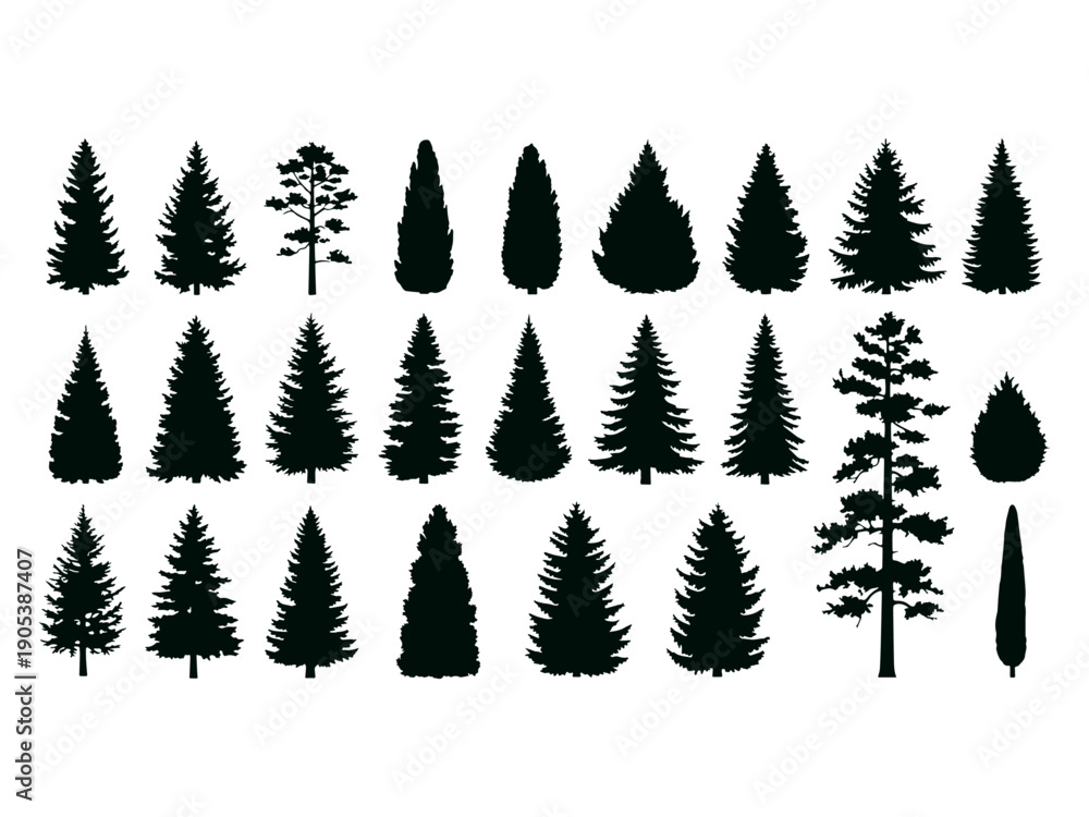 Obraz premium Evergreen coniferous tree silhouettes collection
