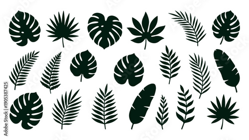 Tropical leaf silhouettes set for exotic design