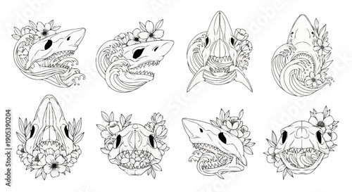 Collection of detailed black and white line drawings of various animals including reptiles insects and mammals for creative projects and design