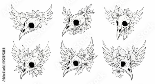 Set of six monochrome digital sketches of highly detailed bird skulls with feathers and horns on a plain background for natural history projects