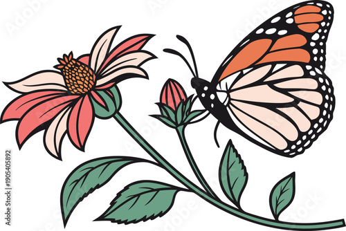 Butterfly Feeding on Flower. Butterfly Drinking Flower Nectar. Butterfly on Blooming Flower. Butterfly Pollination in Nature. Colorful Butterfly on Blossom. Butterfly Collecting Nectar