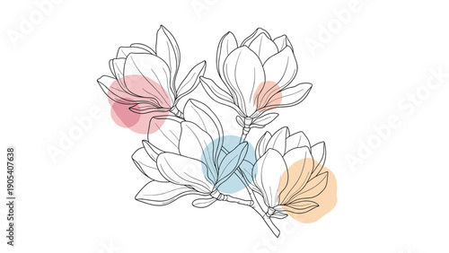 Group of magnolia flowers is rendered in a clean line art style and accented with soft watercolor circles in pink, blue, and yellow for a modern look.