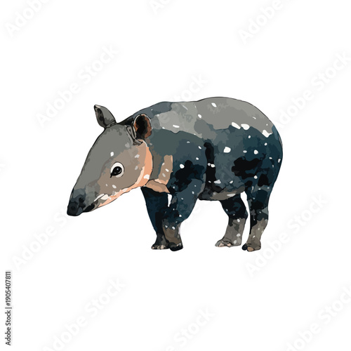Malayan Tapir Illustration Exotic Wildlife Animal Vector Art.