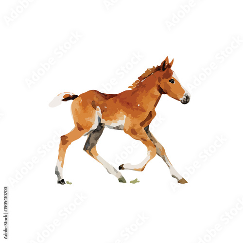 Playful Running Foal Watercolor Vector Illustration.