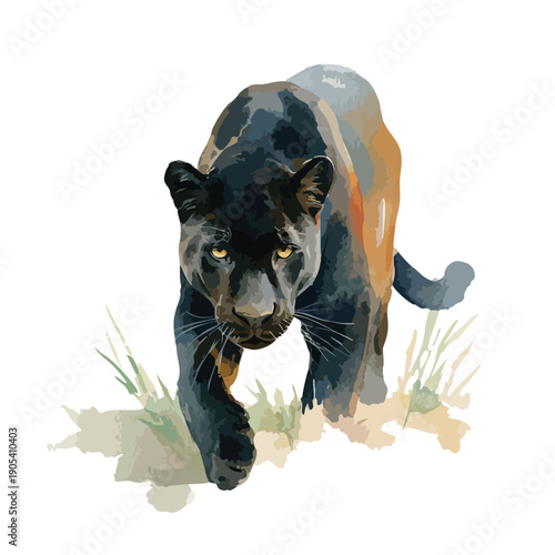 Powerful Black Panther Vector Illustration Stalking Forward.