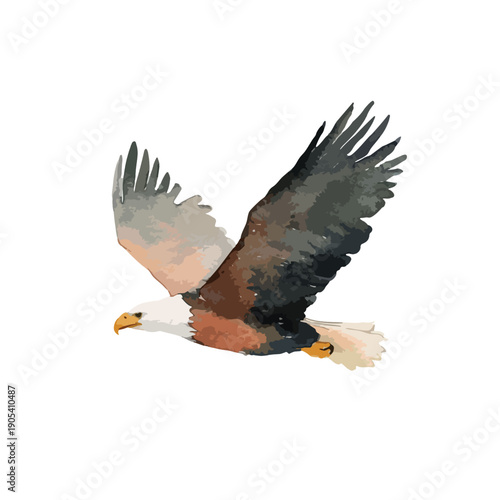 Powerful Flying Eagle Watercolor Art.