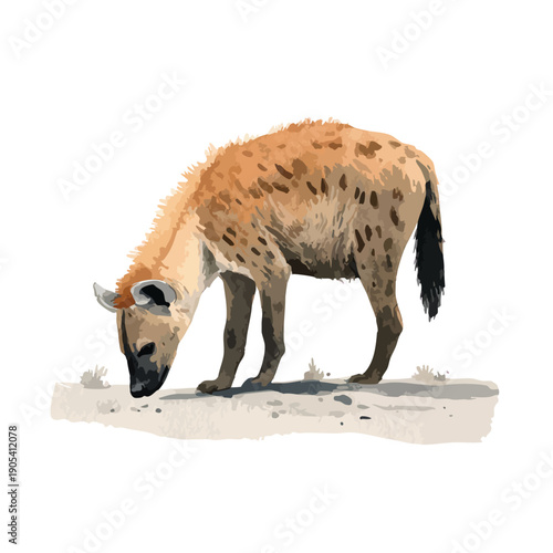 Spotted Hyena Foraging Wildlife Vector Illustration.