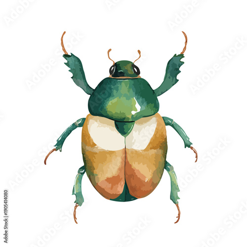Vibrant Green Beetle Watercolor Illustration.