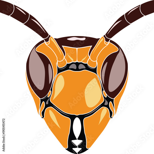 Vector illustration of a hornets head front view.
