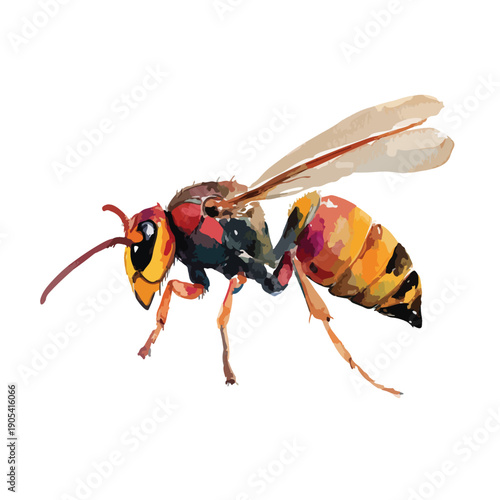 Vibrant Hornet Wasp Vector Illustration.