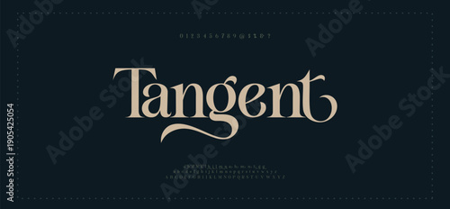 Tangent Luxury alphabet letters font. Typography Elegant classic serif fonts and number decorative logo wedding vintage retro concept. vector illustration