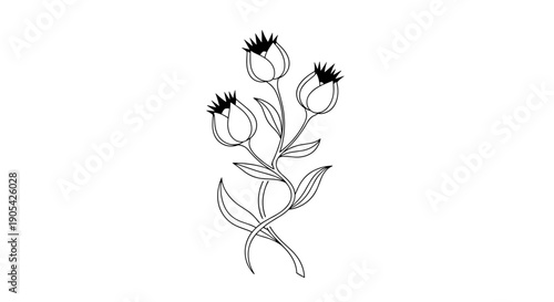 Elegant line art illustration of three flower buds on a single stem with leaves, delicate black and white floral design for coloring.