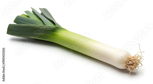 Fresh vibrant leek, green and white stalk, isolated on a clean background, healthy vegetable ready for cooking and culinary dishes