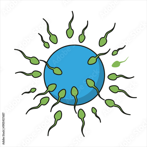 Sperm Cell Fertilization Egg Icon Vector Illustration