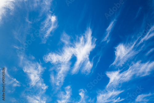 Obraz na plátně blue sky with white clouds