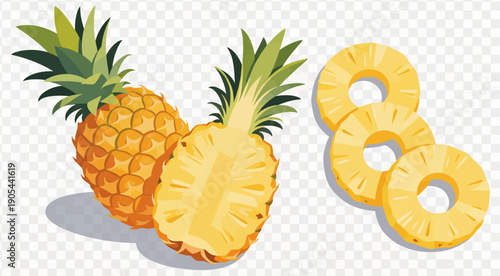 Pineapple Fruit Illustration Set Isolated on Transparent Background