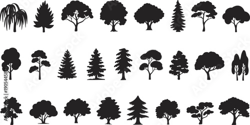Set of various tree silhouettes isolated on white background featuring pine deciduous willow and ornamental trees for nature design projects