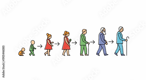 Human life cycle stages from baby to old age.