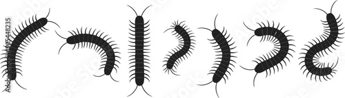Black centipede silhouettes arranged in diverse postures on white background, showcasing segmented body, numerous legs, entomology illustration, biology concept, and nature-inspired design elements