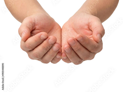 Obraz na plátně Empty cupped human hands held out against grey background with copyspace for charity or giving concepts