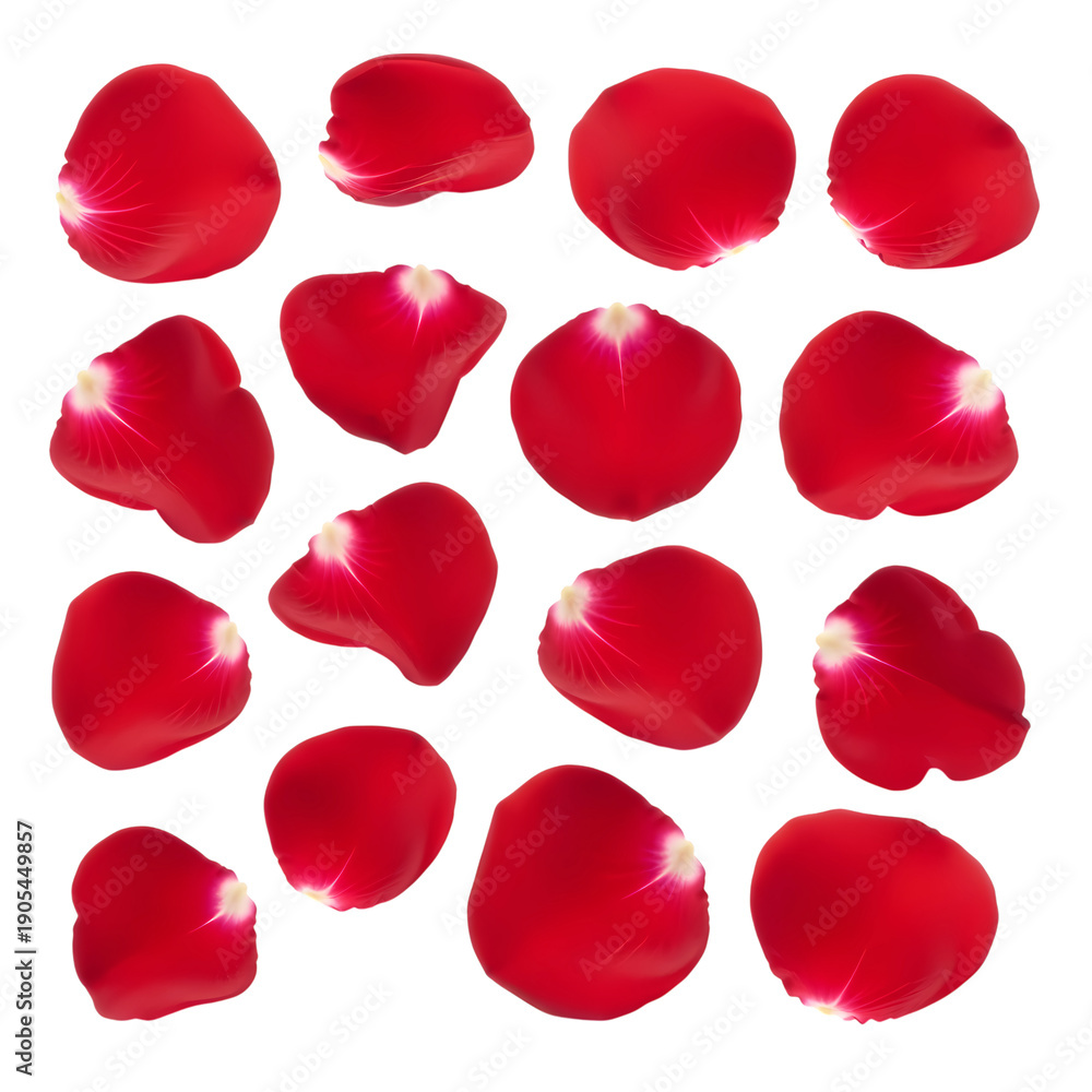 Fototapeta premium Scattered red rose petals