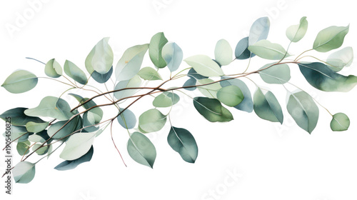 A beautiful branch of green leaves on transparent background