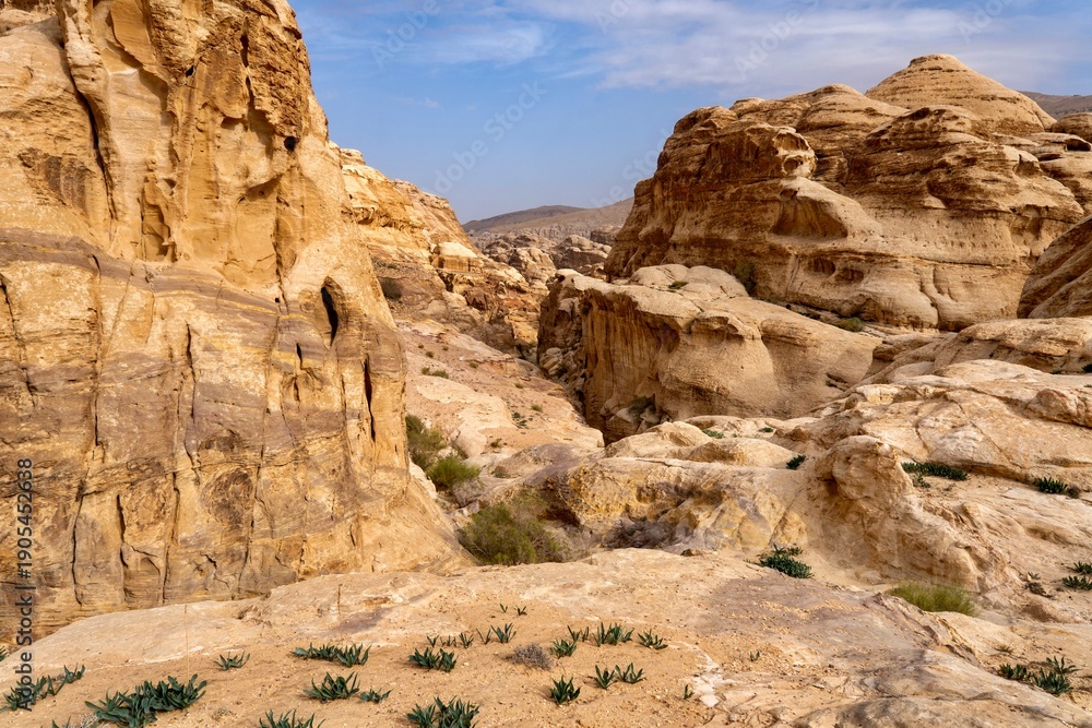 Fototapeta premium Sandstone formations landscape in Petra, Jordan