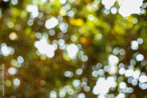 Abstract vibrant green and yellow foliage background with warm sun dappled light creating natural bright white circular bokeh texture effect.