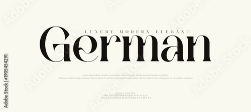 Elegant abstract alphabet letters font and number. Classic Lettering Minimal Fashion Designs. Typography modern serif fonts regular decorative vintage concept. vector illustration
