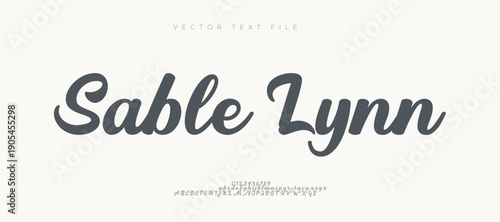 Elegant script vector font. Alphabet vector font with Uppercase, lowercase, and variation. Stylish decorative hand drawn.
