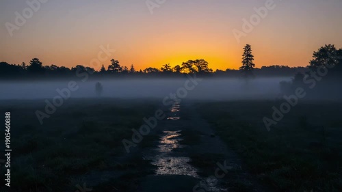 Misty path through fog at sunrise in serene natural landscape  
