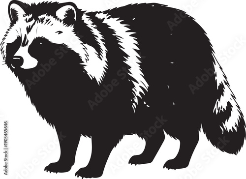 Silhouette of a raccoon dog with distinctive mask and tail