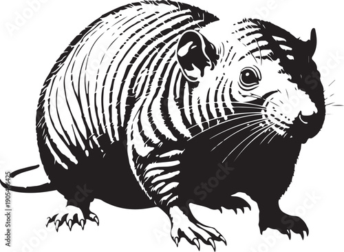 Silhouette of a capybara a large rodent against a white background