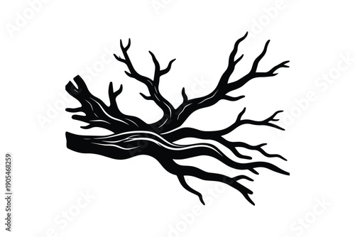 Silhouette of dead tree branches against white background, gnarled wood, spooky symbol, dark nature
