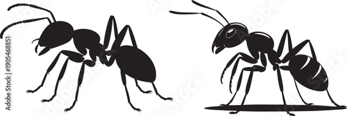 Black Ant Silhouette Vector SVG Insect Illustration Side View Detailed Bug Clipart Design