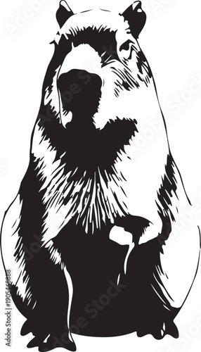 Silhouette of a raccoon standing on hind legs