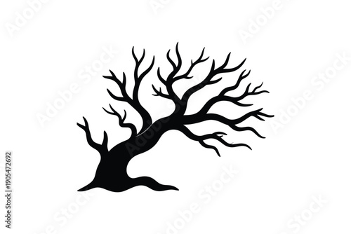 Bare deciduous tree silhouette in autumn or winter, stark branches against white background, symbolic of change