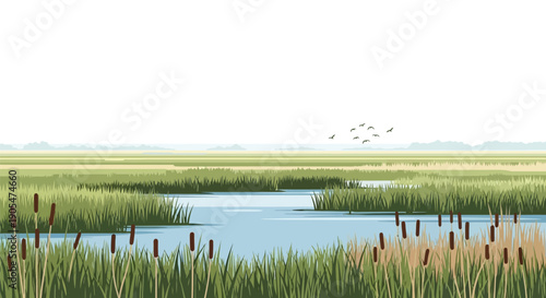 Illustration of a tranquil wetland landscape with tall grasses, cattails, and a flock of birds in the distance.