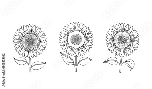 Decorative fine line sunflower black and white hand drawn vector art set