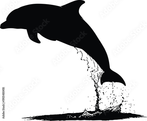 Dolphin leaps from ocean surface, creating splash, illustration, white background, side view, 5d1f4e3313049d49891433da9f62c8c4dr .eps