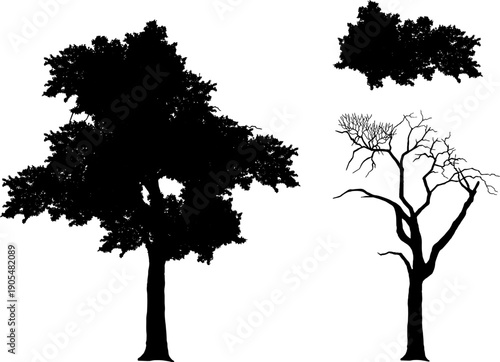 Silhouette of various trees set, including leafy deciduous trees and dead bare branches. Isolated on white background vector illustration.