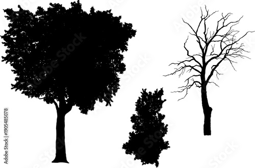 Silhouette of various trees set, including leafy deciduous trees and dead bare branches. Isolated on white background vector illustration.