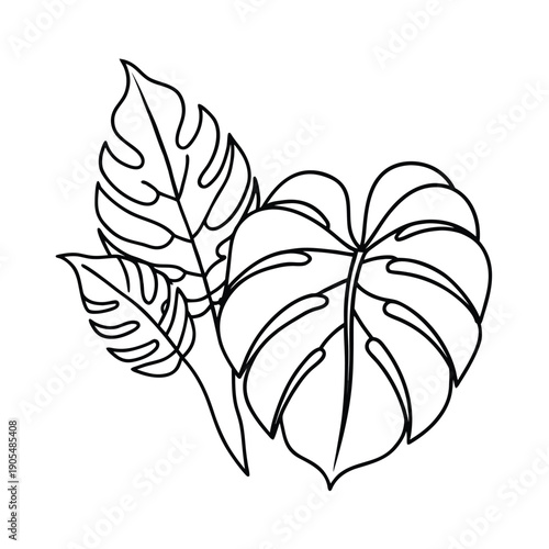 One line drawing monstera and banana leaves vector line art on white background
