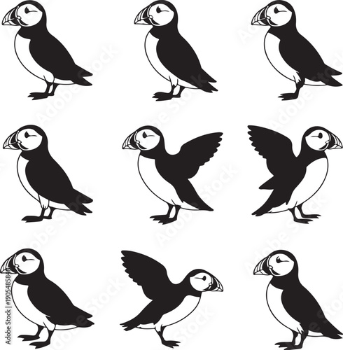 Illustrations of puffins in various poses and movements