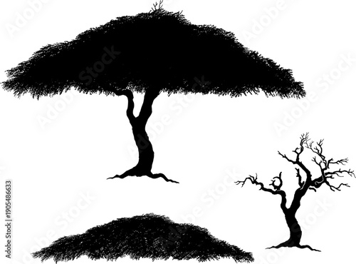 Silhouette of various trees set, including leafy deciduous trees and dead bare branches. Isolated on white background vector illustration.