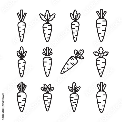 Carrot Icon Set: Various Styles and Angles on White Background